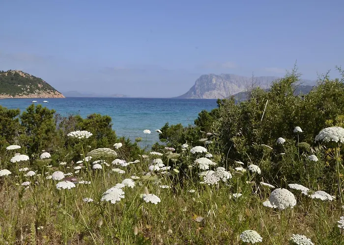 公寓 Seaside Near 布多尼