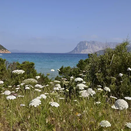Apartment Seaside Near Budoni